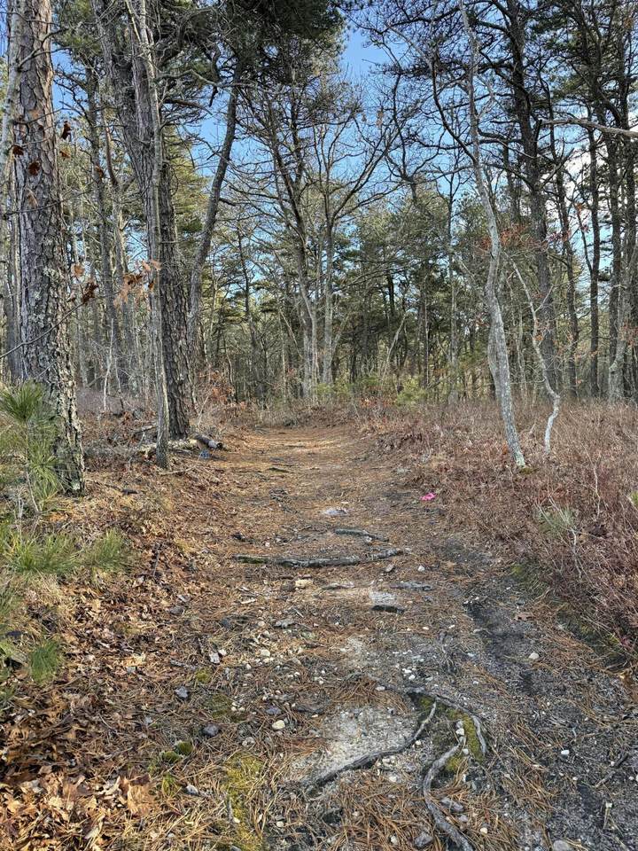 https://bt-photos.global.ssl.fastly.net/capecod/1280_boomver_1_22600106-2.jpg