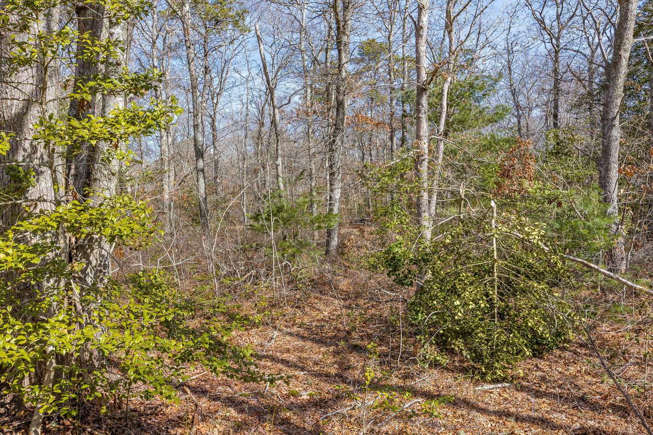 https://bt-photos.global.ssl.fastly.net/capecod/1280_boomver_1_22601133-2.jpg