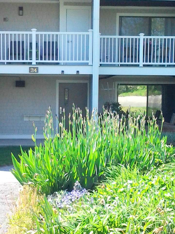 24 Old Colony Way - Photo 1