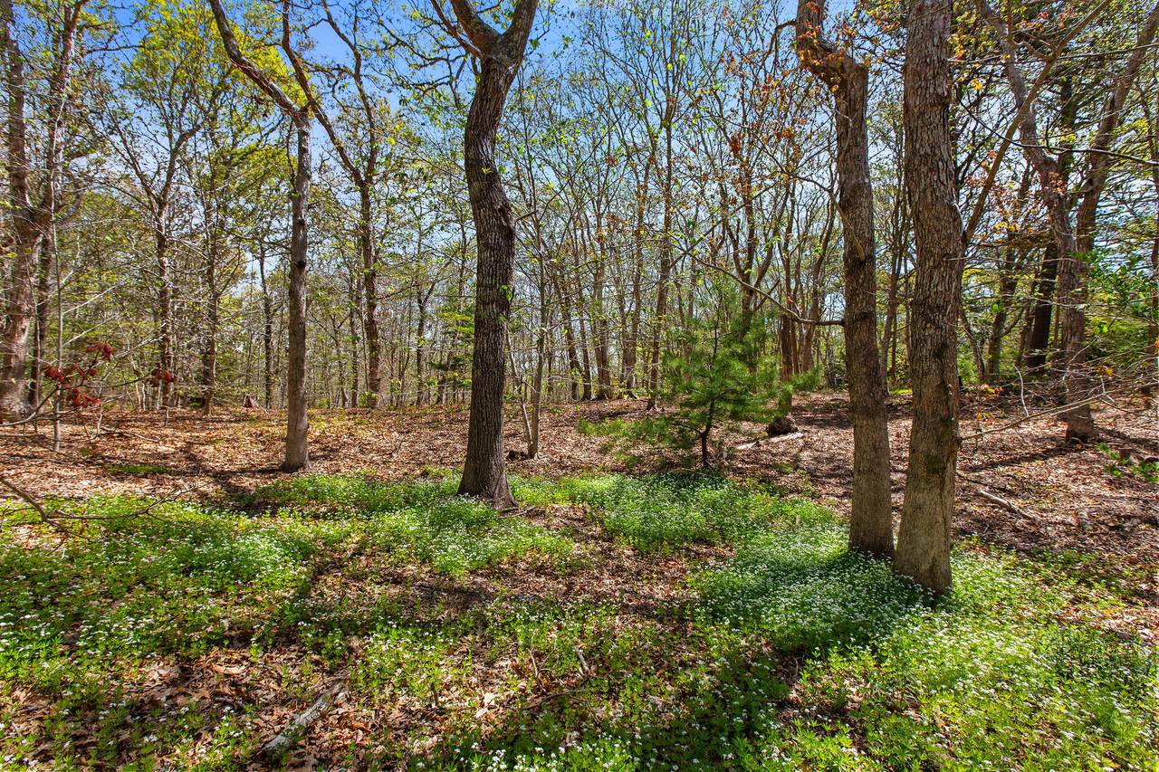 0 Landing Drive - Photo 1