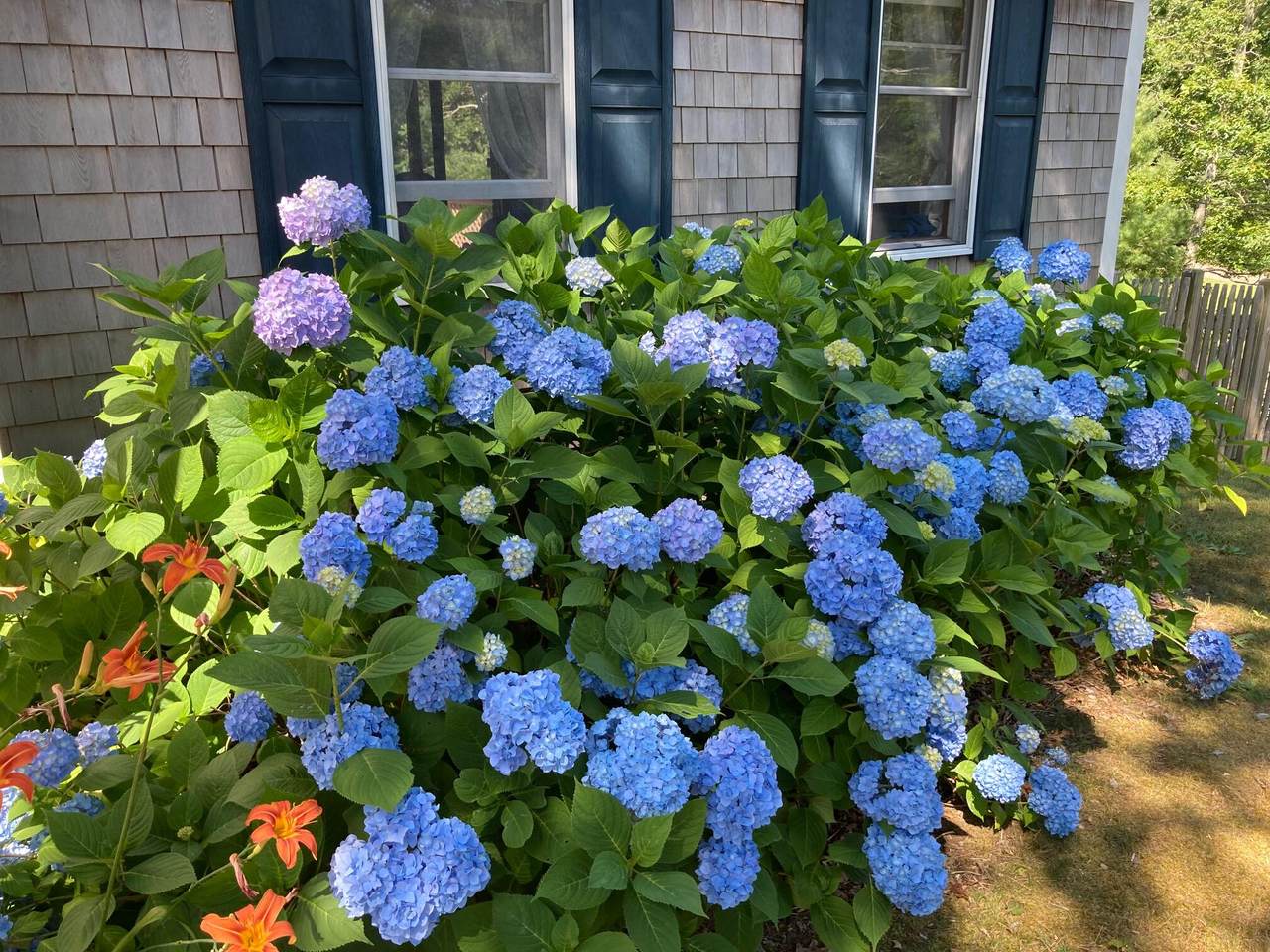 https://bt-photos.global.ssl.fastly.net/capecod/1280_boomver_1_22602510-2.jpg