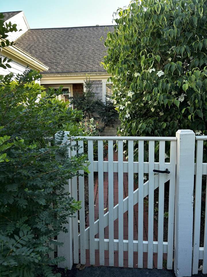 206 Kates Path - Photo 1