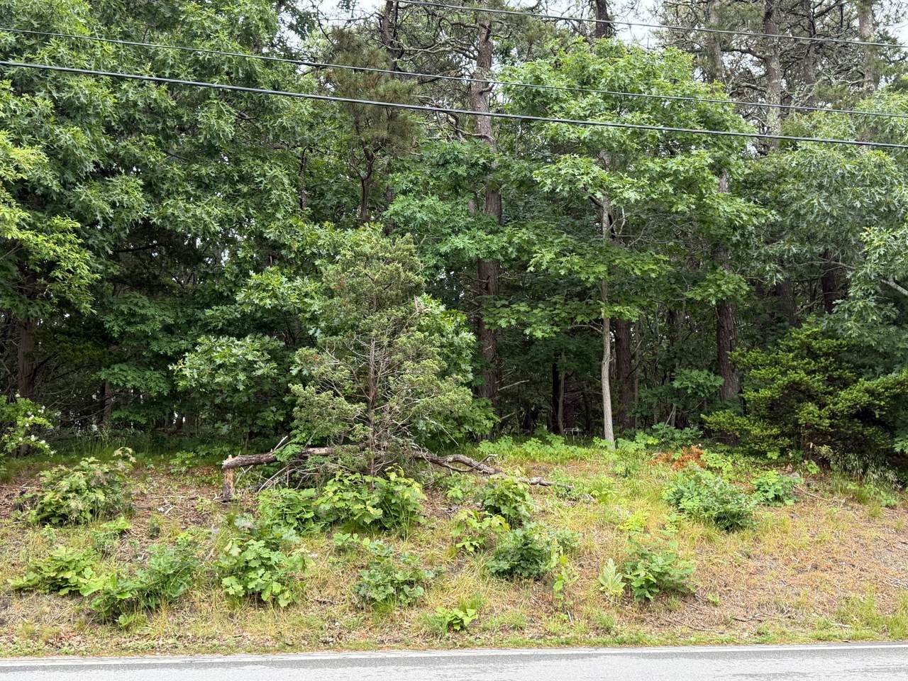 https://bt-photos.global.ssl.fastly.net/capecod/1280_boomver_1_22603075-2.jpg