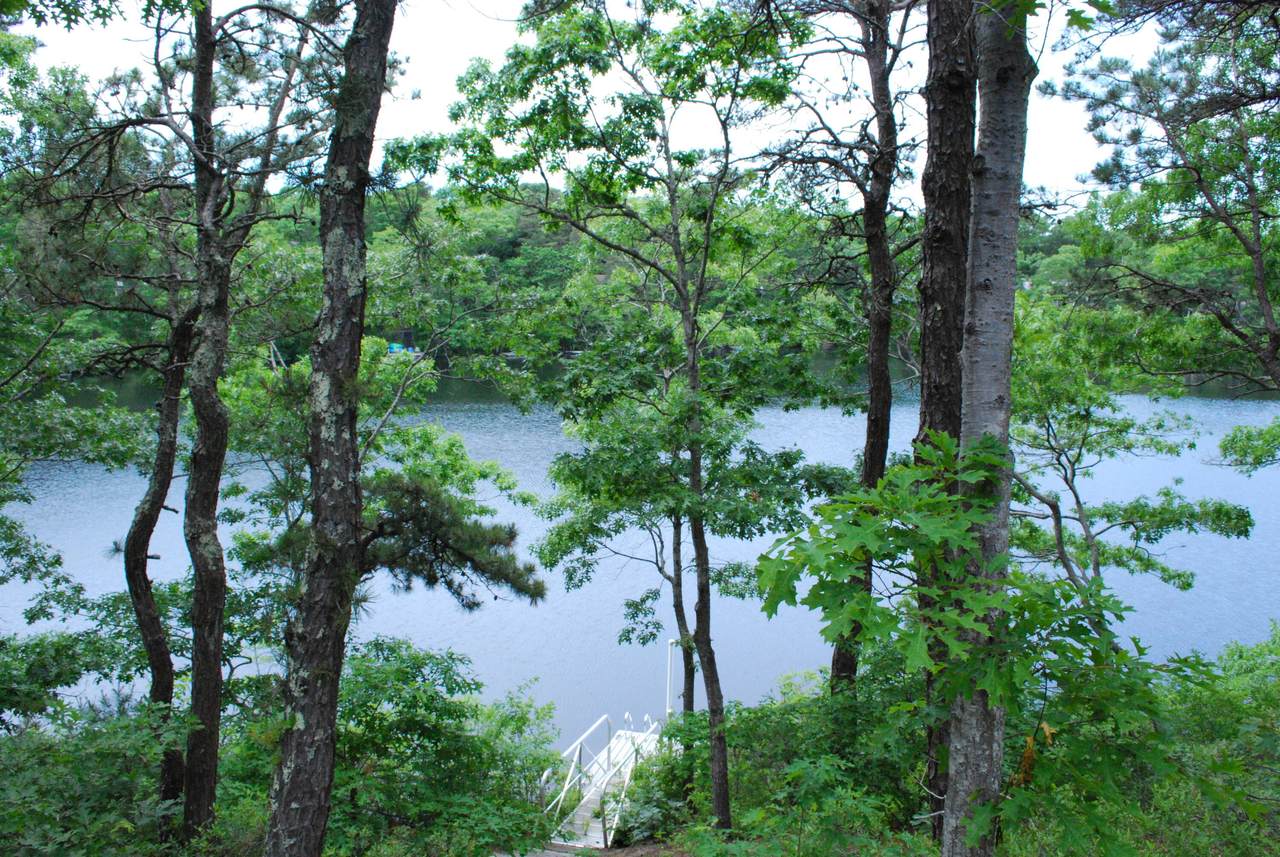 184 Fells Pond Road - Photo 1