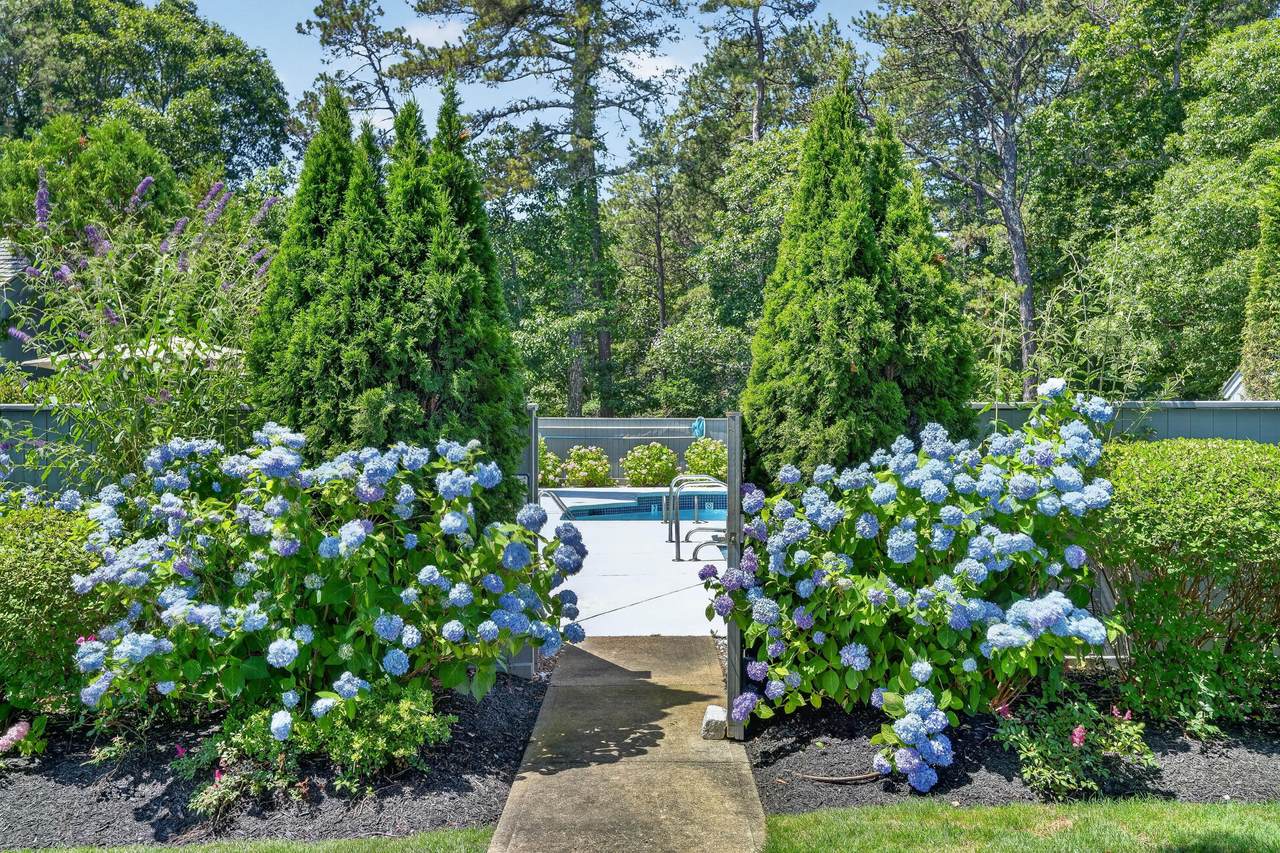 https://bt-photos.global.ssl.fastly.net/capecod/1280_boomver_1_22603277-2.jpg