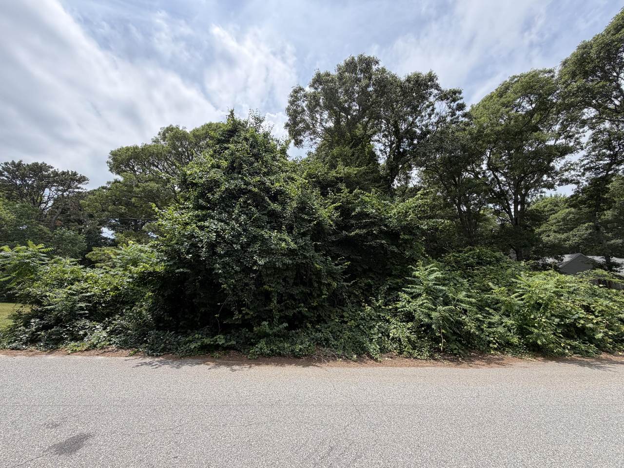 21 Tobey Way - Photo 1