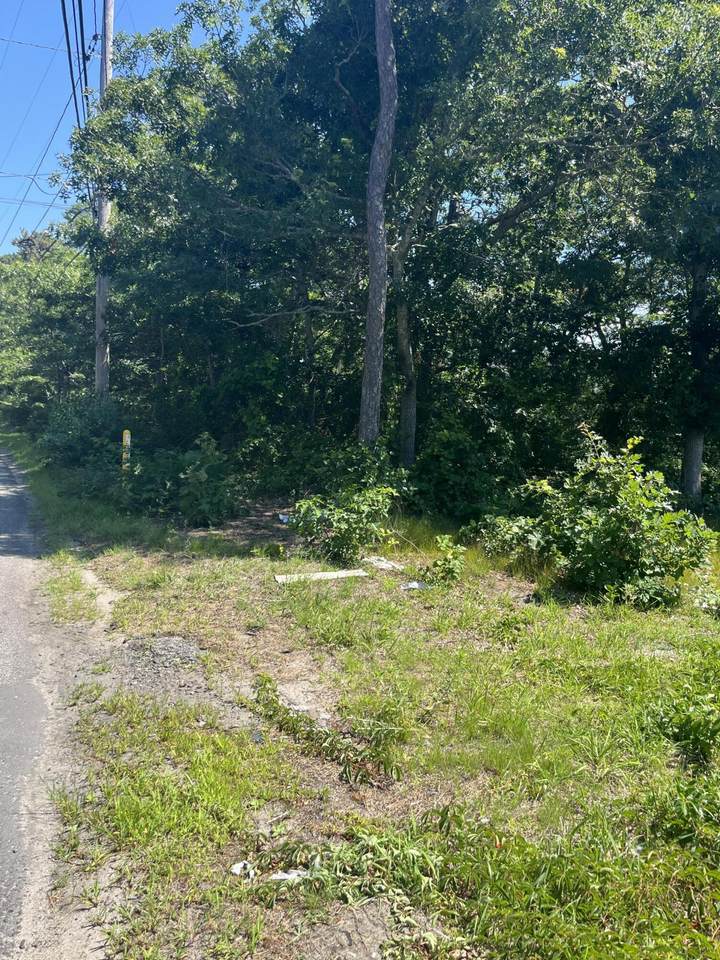74 Long Pond Drive - Photo 1