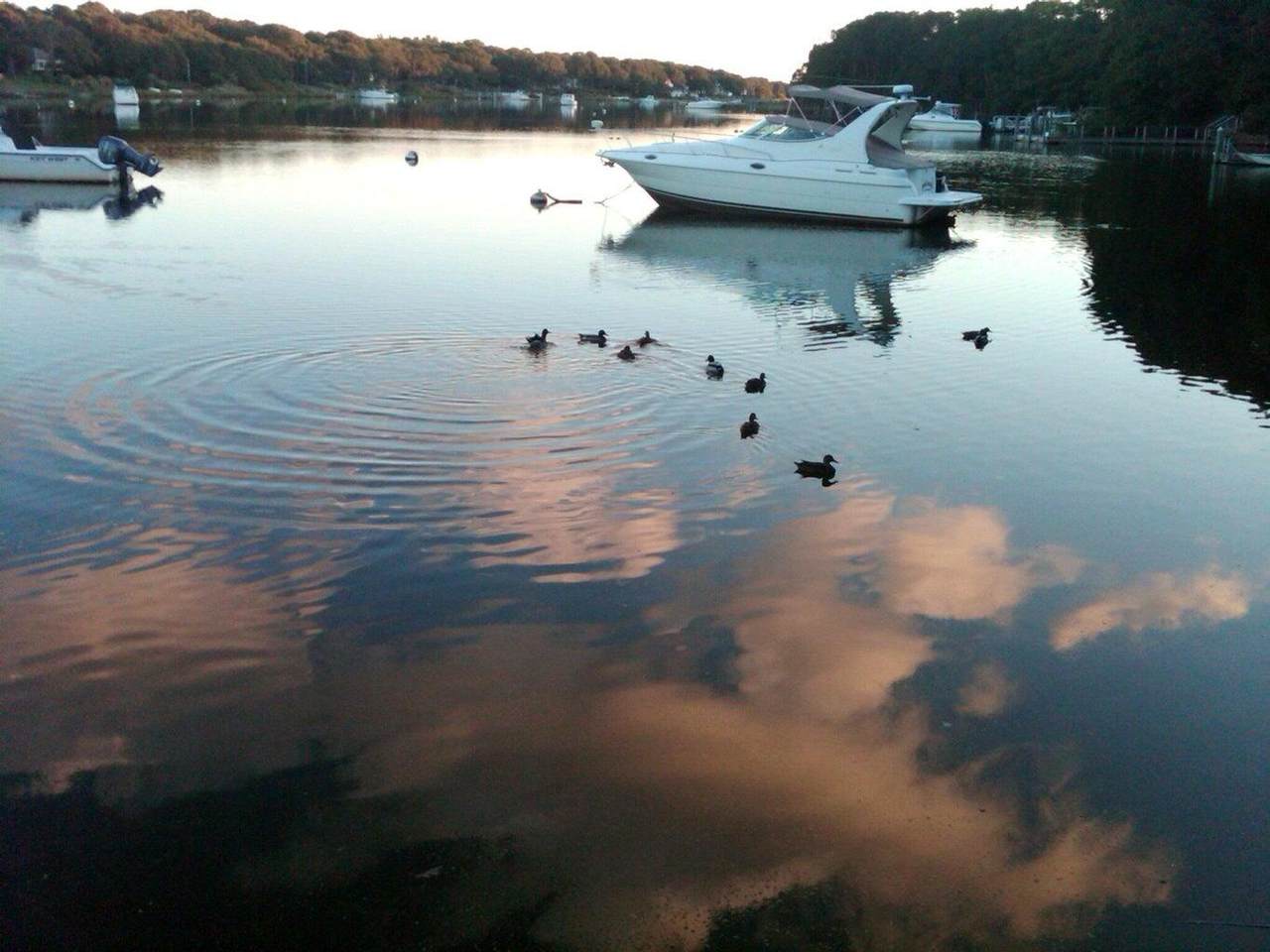 https://bt-photos.global.ssl.fastly.net/capecod/1280_boomver_1_22604307-2.jpg