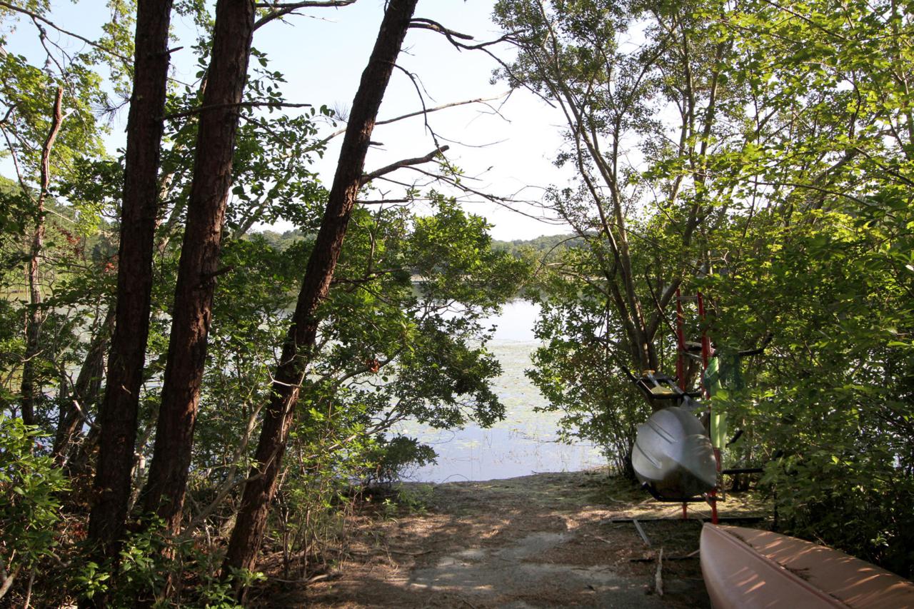 54 Elbow Pond Drive - Photo 1