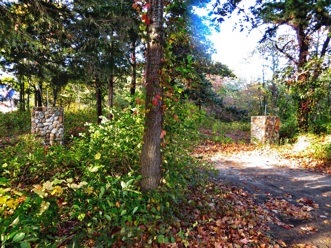 174 South Street - Photo 1