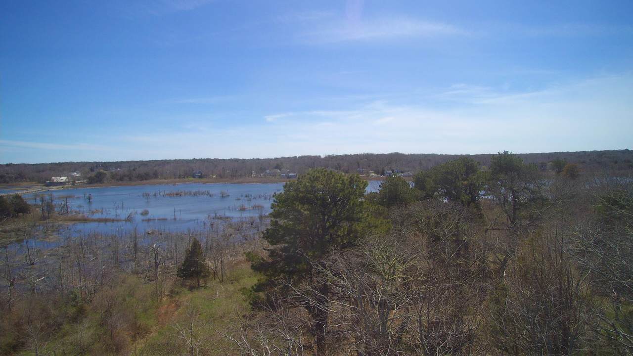 159B Sesuit Neck Rd - Photo 1