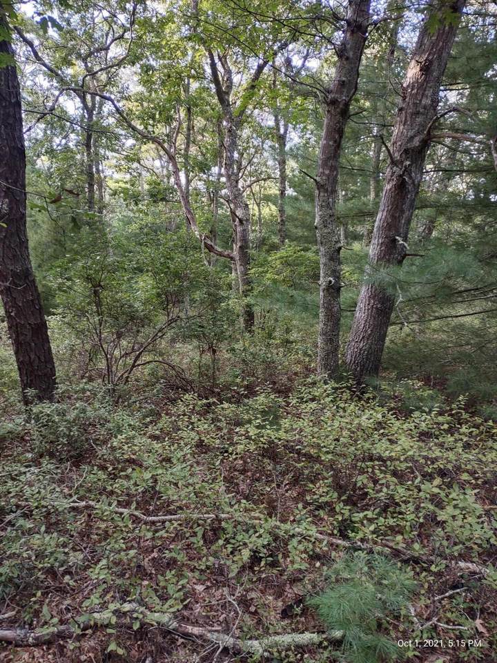 0 Old Stage Road - Photo 1