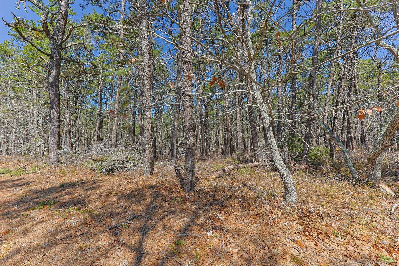 175 Delphi Path - Photo 1