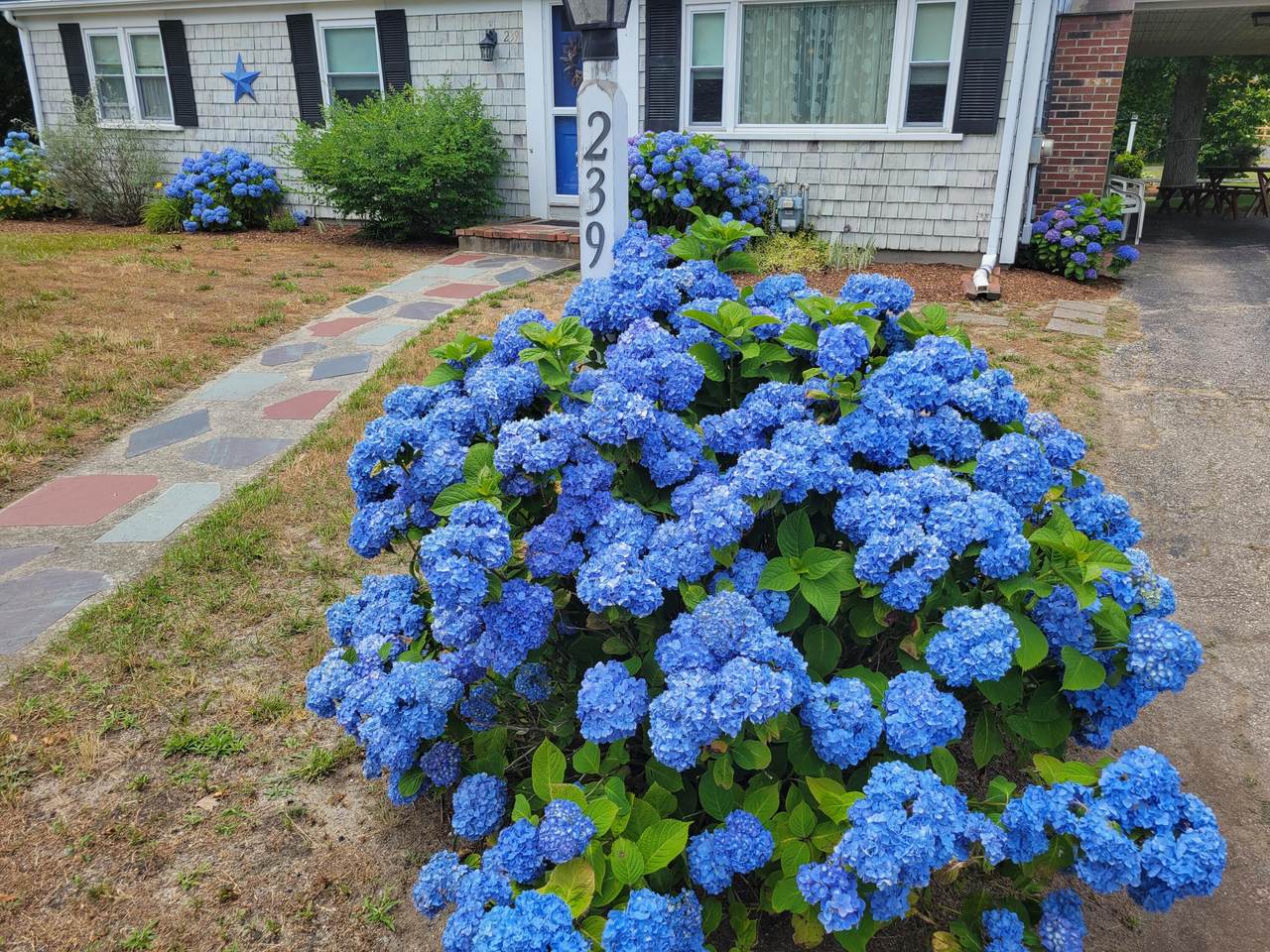 https://bt-photos.global.ssl.fastly.net/capecod/orig_boomver_3_22604553-2.jpg