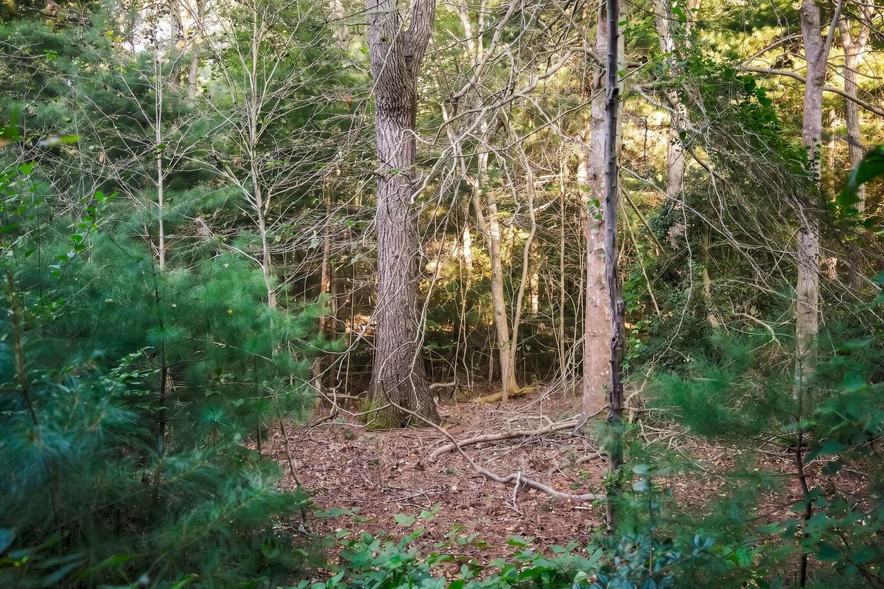 https://bt-photos.global.ssl.fastly.net/capecod/1280_boomver_2_22604571-2.jpg