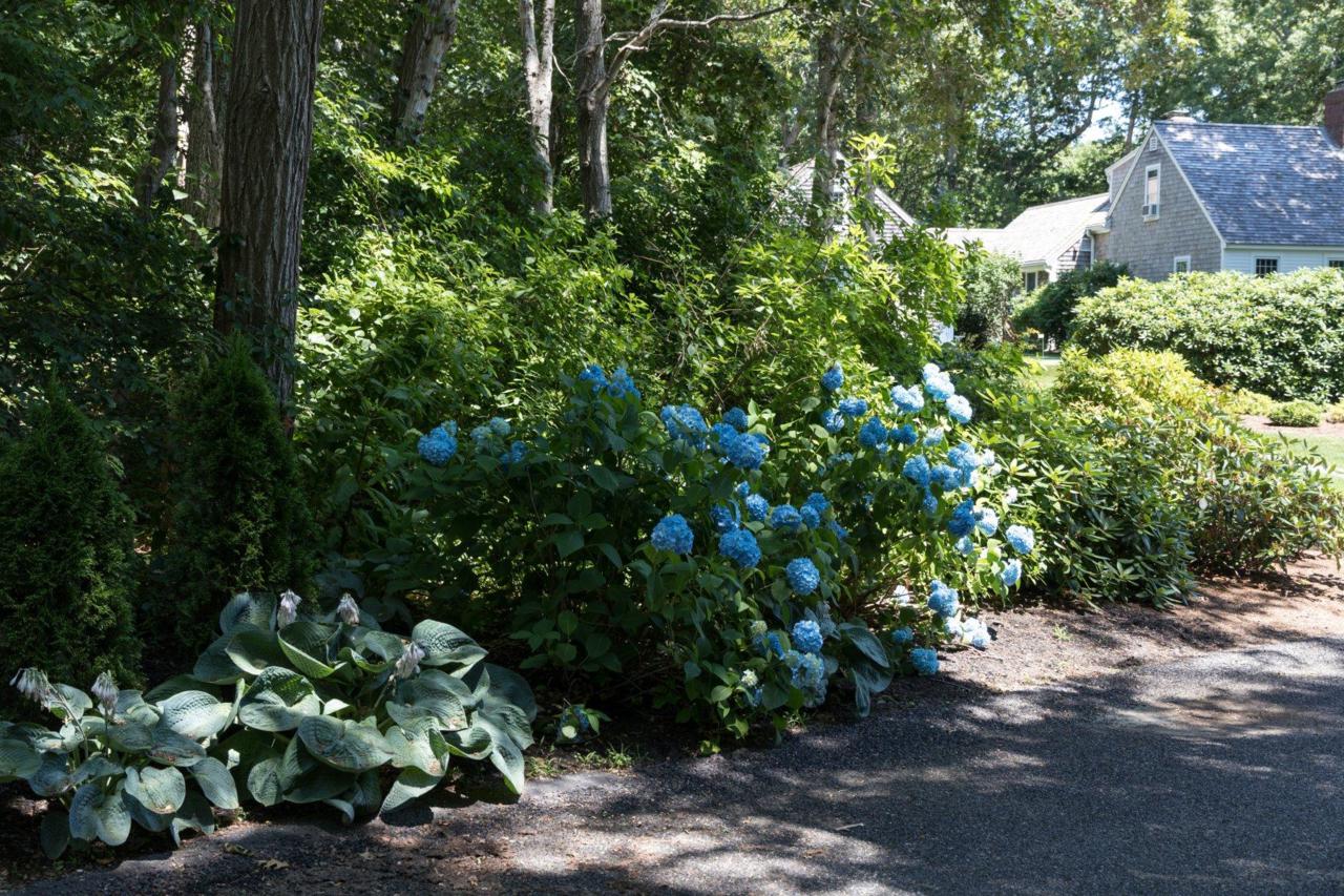 17 Skymeadow Drive - Photo 1