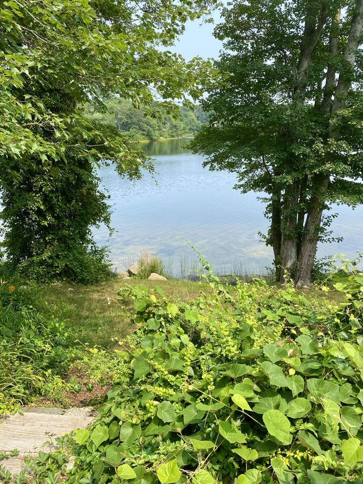 150 Orleans Road - Photo 1
