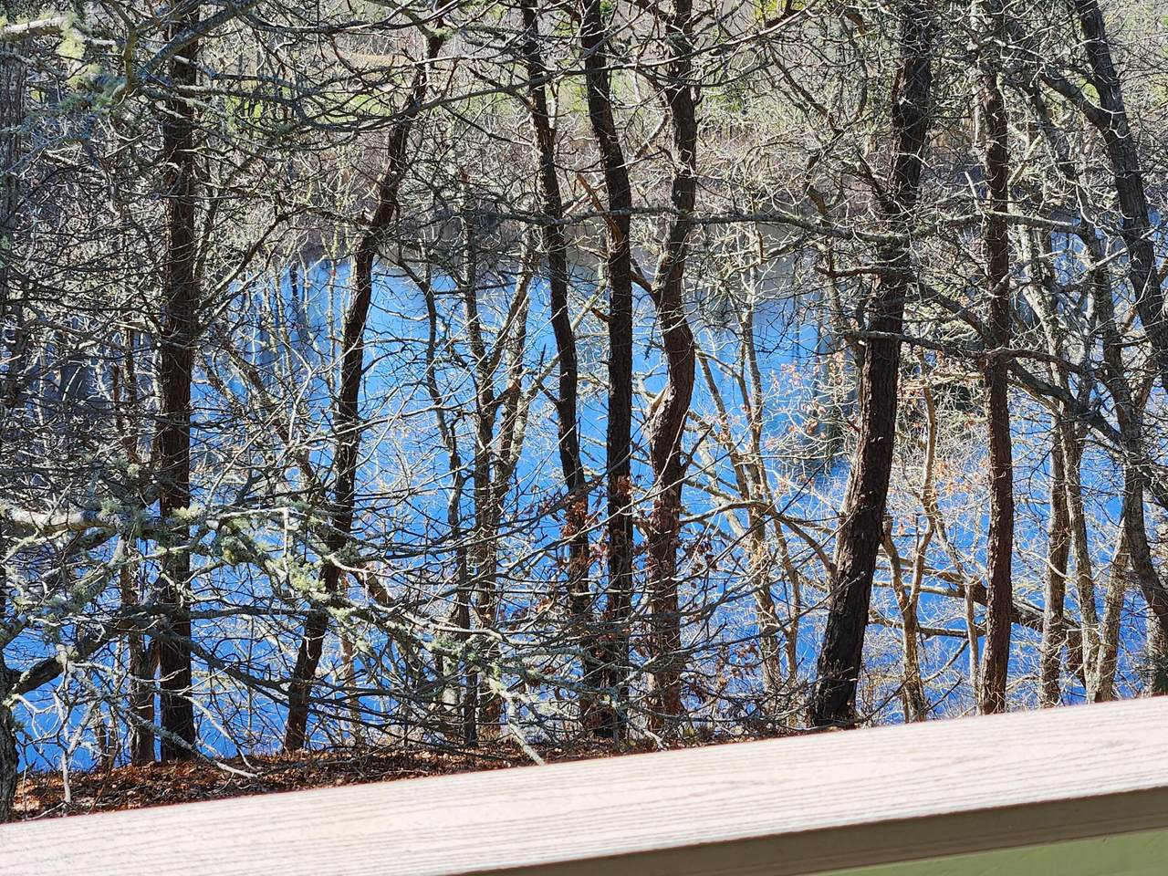 https://bt-photos.global.ssl.fastly.net/capecod/1280_boomver_2_22501638-2.jpg