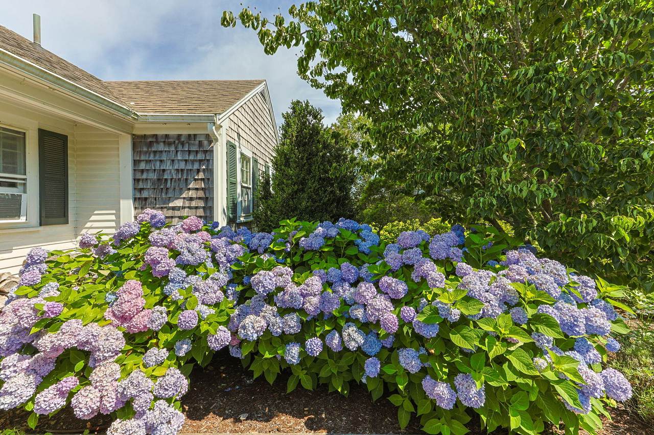 https://bt-photos.global.ssl.fastly.net/capecod/1280_boomver_3_22505704-2.jpg