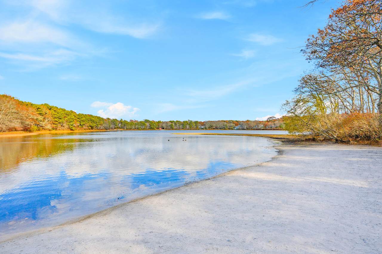 11 Elizabeth Lane - Photo 1