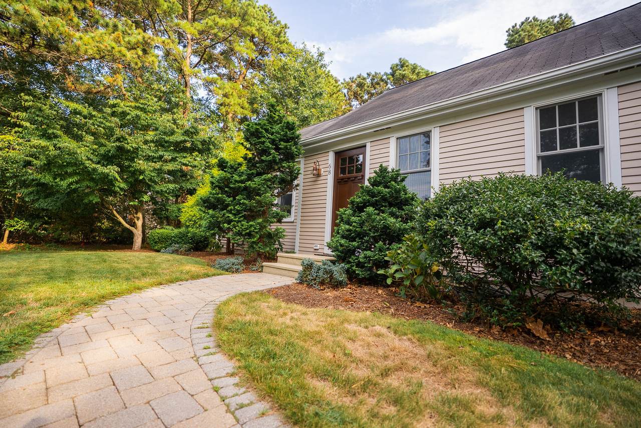 68 Lumberjack Trail - Photo 1