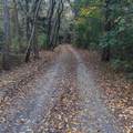 1 Ox Pasture Road - Photo 4