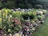 11 Sheperds Way - Photo 56