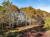 43 Old County Road - Photo 6