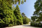 41 Cobbs Hill Road - Photo 6