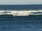 5 Striper Avenue - Photo 50