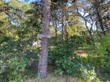 35 Maria Road - Photo 10