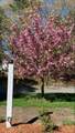 97 Roosevelt Road - Photo 57