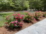 97 Roosevelt Road - Photo 59