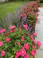 97 Roosevelt Road - Photo 60