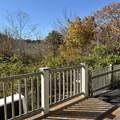 16 Meadow Road - Photo 8