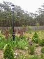53 Highland Road - Photo 34