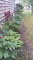 11 Webquish Lane - Photo 34