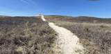 00 Moshup Trail - Photo 18