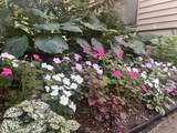 34 Erics Way - Photo 24