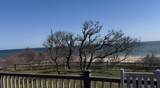 325 Nauset Light Beach Road - Photo 10