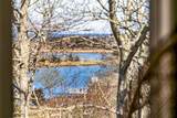 7 Little Cove Lane - Photo 46