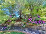 13 Hollyhock Knoll Court - Photo 42