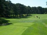 15 Quail Nest Run - Photo 46