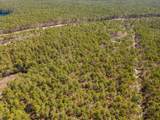 175 Delphi Path - Photo 22