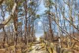 47 Flying Dragon Road - Photo 61