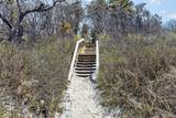 47 Flying Dragon Road - Photo 62