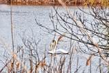 189 Breakwater Shores Drive - Photo 8