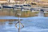7 Squanto Drive - Photo 71