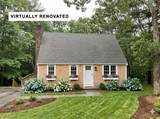 61 Althea Road - Photo 2