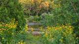 46 Roos Road - Photo 10